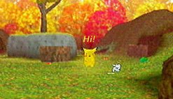 thumbnail of your picture #10