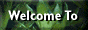 Jungle Themes