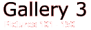 Gallery 3