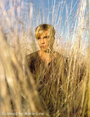Brad Pitt