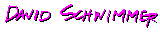 ds1.gif (539 byte)