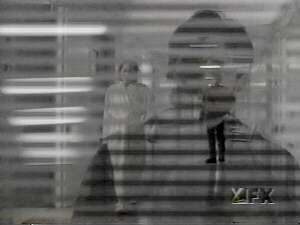 Mulder's Shadow