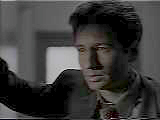 Looking at Tooms