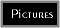 Pictures