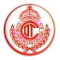Diablos rojos del Toluca..