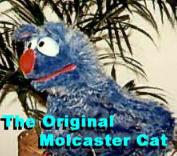 The 1st Generation Molcaster Cat