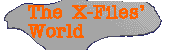 The X-Files' World