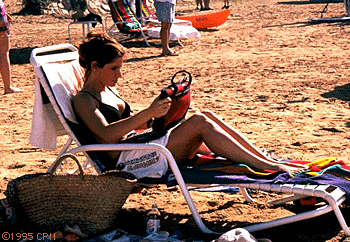 bikini.gif (66729 bytes)