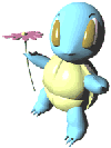 3dsquirtle a).gif (23335 bytes)
