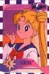 Serena with checkerd boder.JPG (9803 bytes)