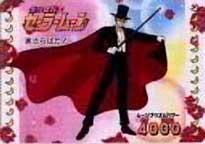 Tuxedo Mask.JPG (11836 bytes)