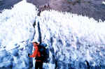 Just as you leave BC you pass through these penitentes or Ice Pinnacles as they are also known