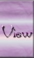 GBView3.jpg (5450 bytes)