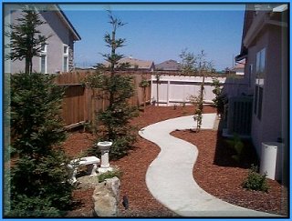 back yard looking east