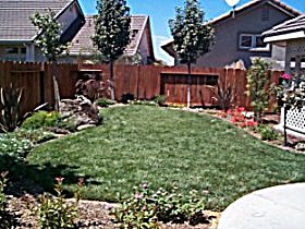 southwest side of back yard