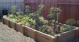 garden bed