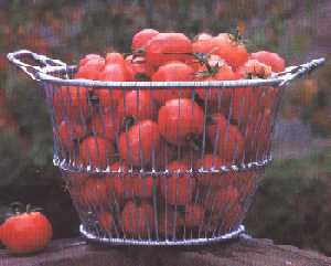 Tomato Basket