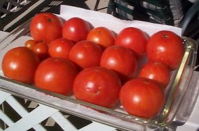 tomatoes