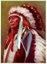 Indian Chief