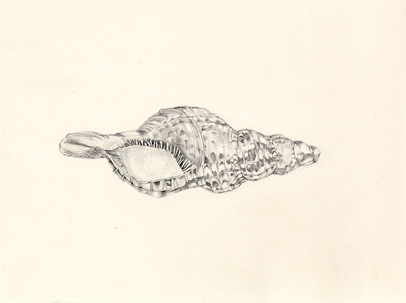 1.jpg (74974 bytes)