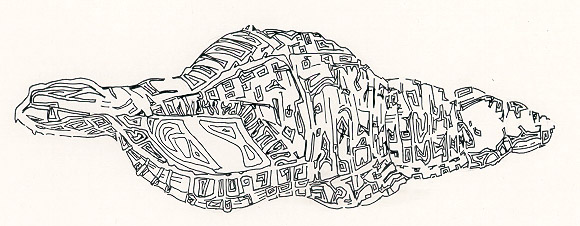 5.jpg (59436 bytes)