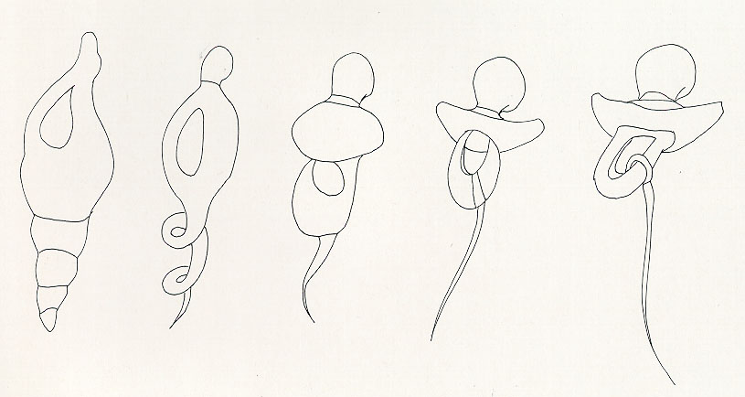 7.jpg (51169 bytes)