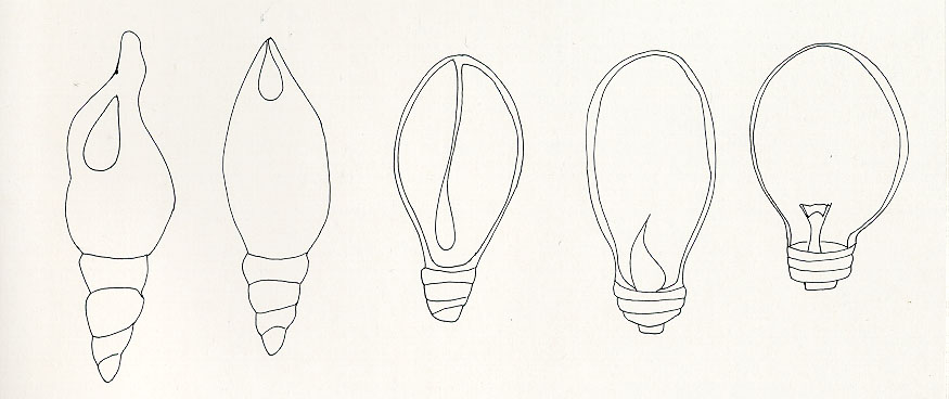 8.jpg (50025 bytes)