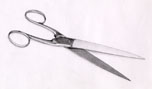 p1.jpg (8127 bytes)