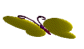 MY FUN PAGE OF LINKS