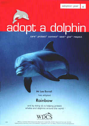 Rainbow