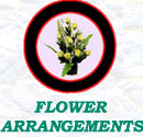 flowerarr2/LINK4.jpg