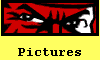  Pictures 