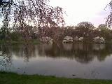 yep, i took this pic ^_^