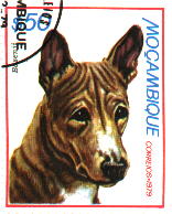 mozambique
