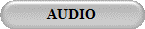 AUDIO