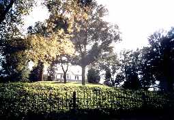 Click to see wd2.jpg