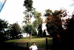 Click to see wd3.jpg