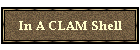 In A CLAM Shell