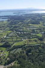 Te Puna to Mayor Island