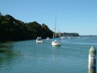 Wharf view looking along Plummers Point cliff edge