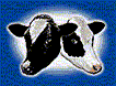 Great Software Download Site