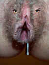 lion.jpg (51640 Byte)