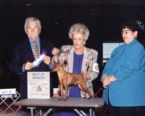 Riot's 5 point major