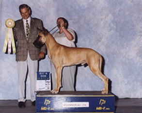 Strat wins Best in Match