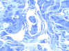 bluewhiteswirlsj.jpg (333926 bytes)
