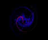 hypnosis2.jpg (35160 bytes)
