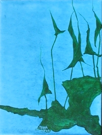 click to enlarge
