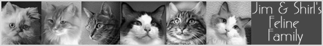 http://www.oocities.org/terrasque35/kitties.html