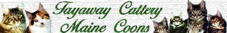 http://www.oocities.org/tayawaycoons/