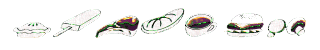 FoodBar.gif (9498 bytes)